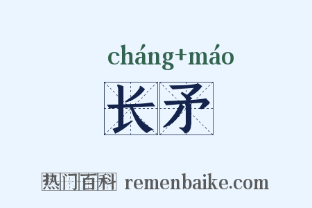 长矛是什么意思的图片